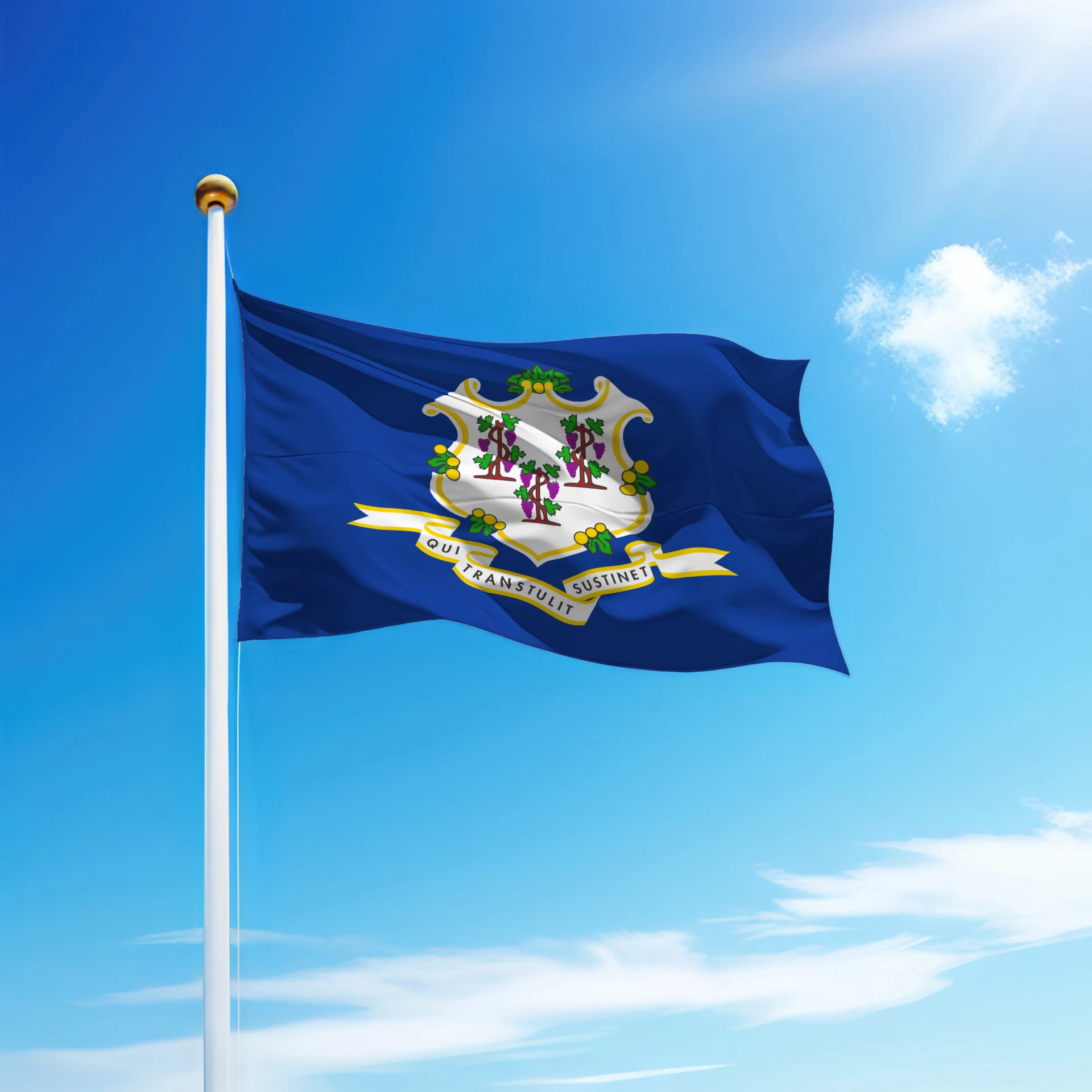 Connecticut flag