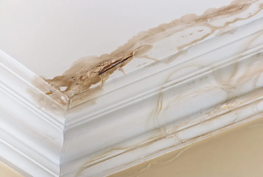 Signs of water damage on a home interior including stains and mold