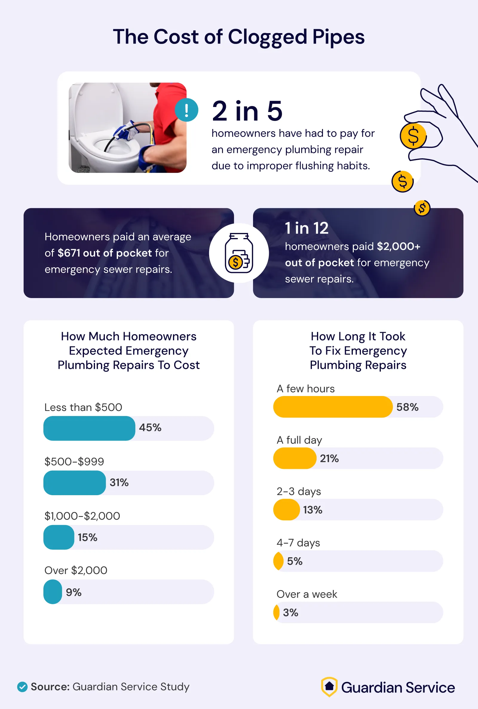 Infographic on the cost of clogged pipes, showing repair expenses, expectations, and repair times.