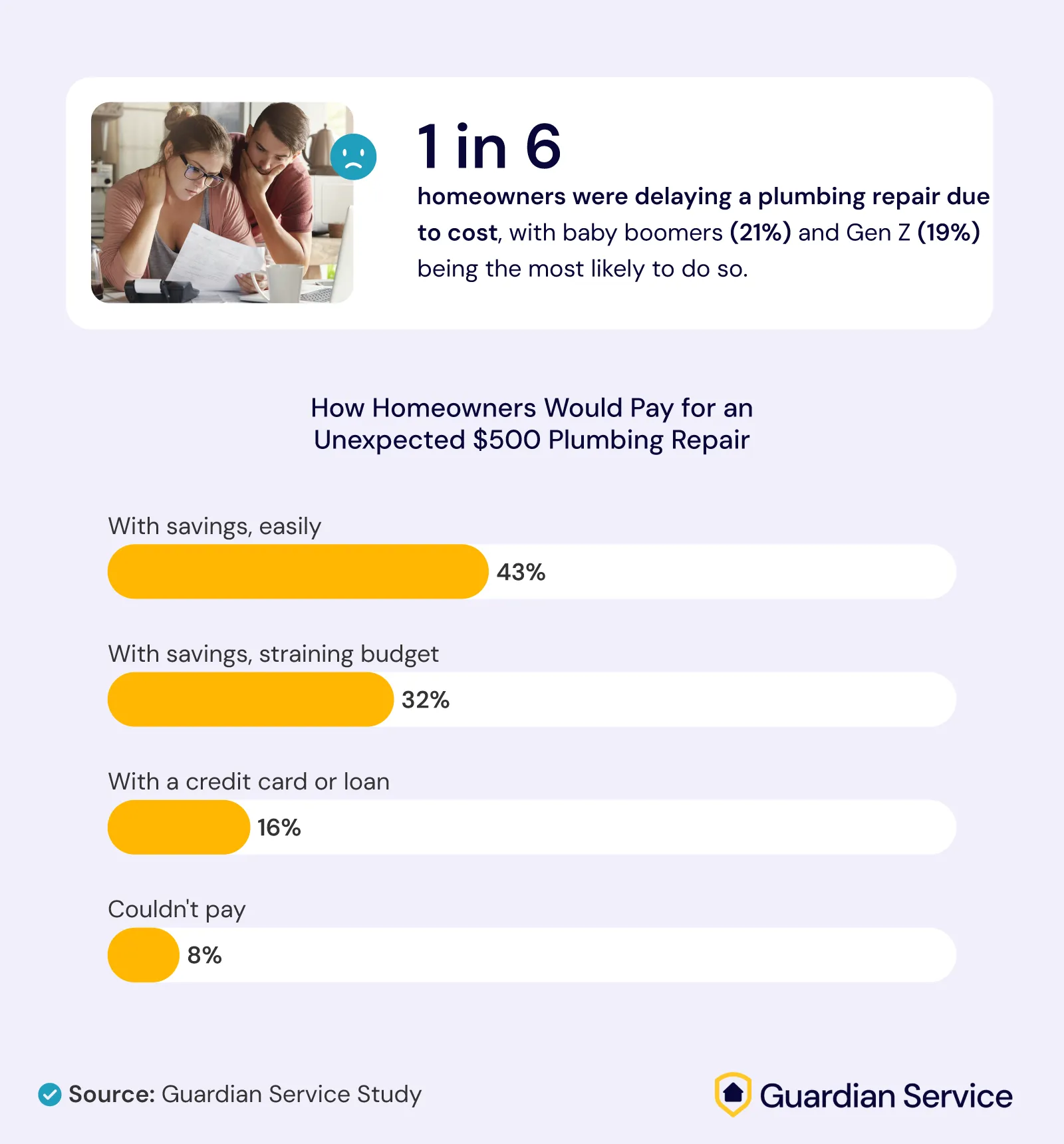 Infographic on homeowners delaying plumbing repairs due to cost.
