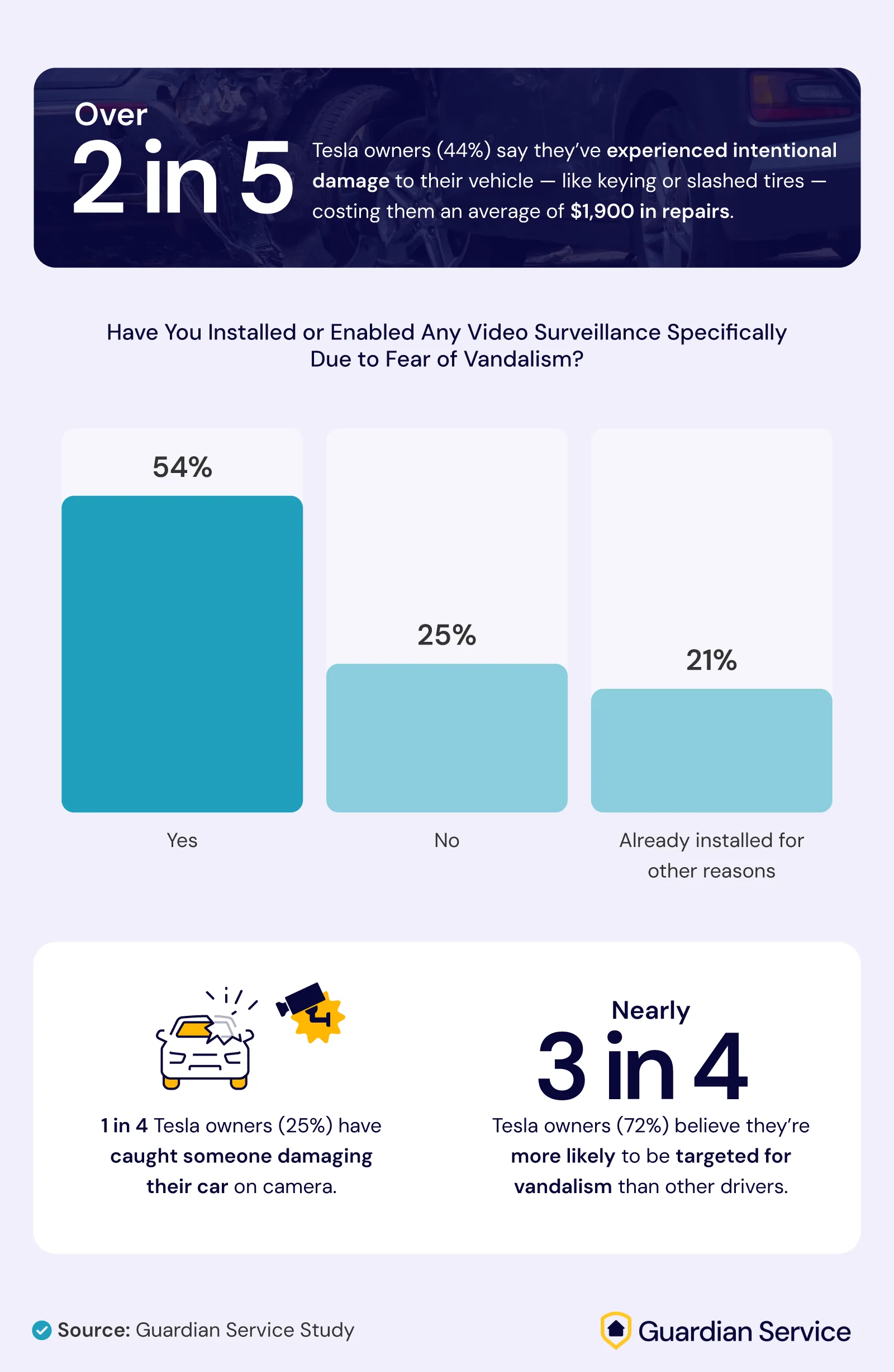 Infographic on Tesla owners' vandalism concerns, showing 44% experienced damage and 72% feel targeted.