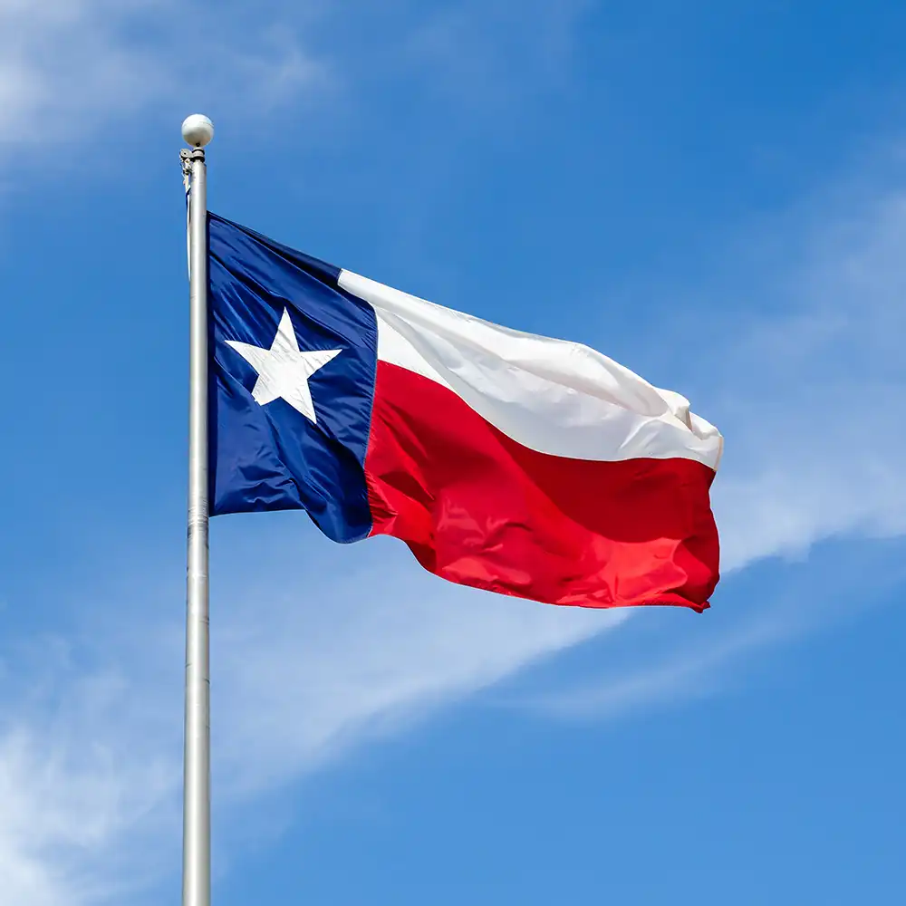 Texas flag