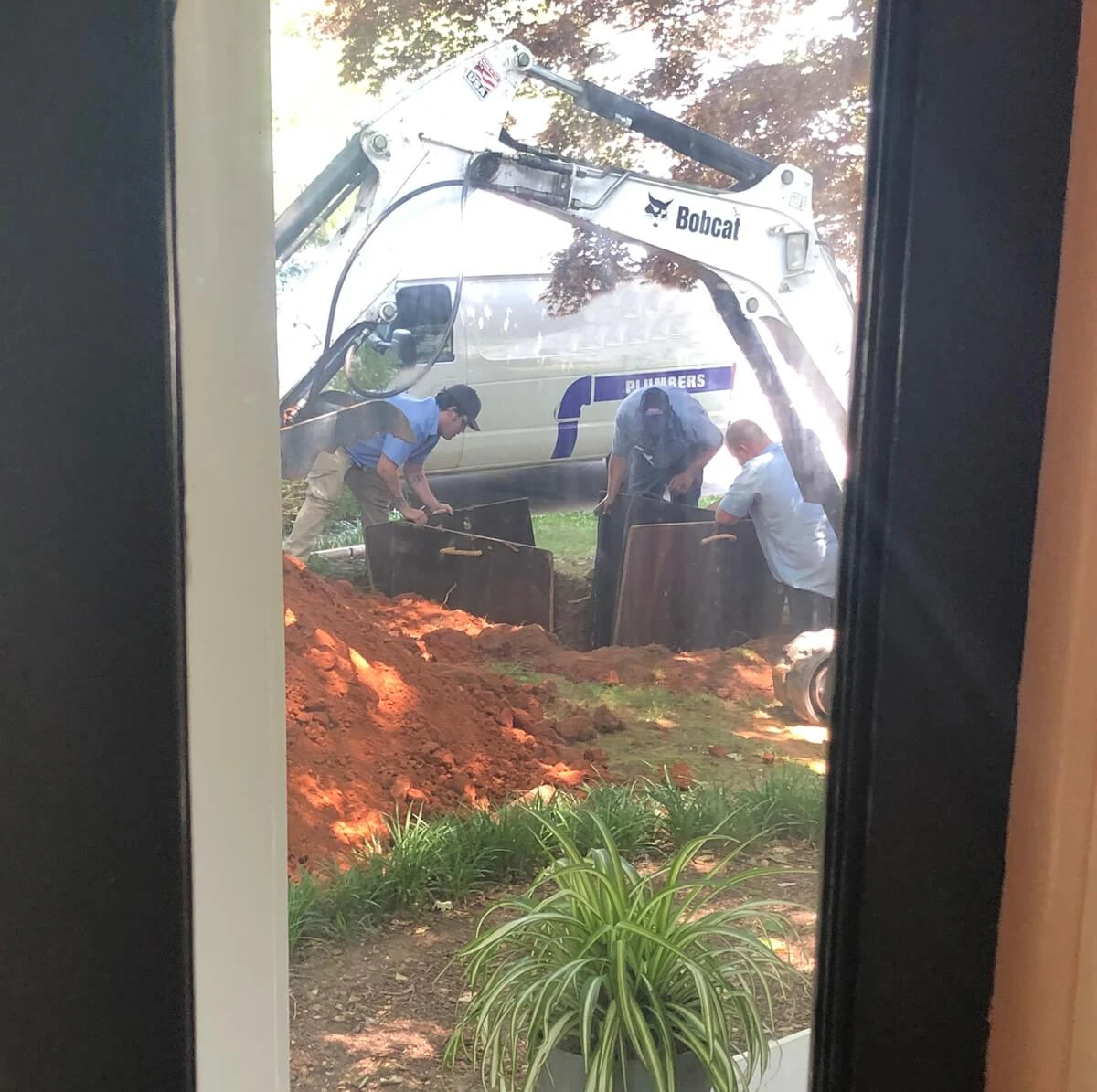 Lauren Prosser, Raleigh, NC